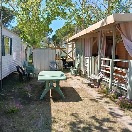 Camping Mobil-home Le Grau-du-Roi